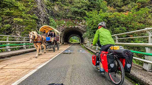 단양 초입의 도담3봉 관광지에서 우리 속도와 비슷한 마차와 교행한다.