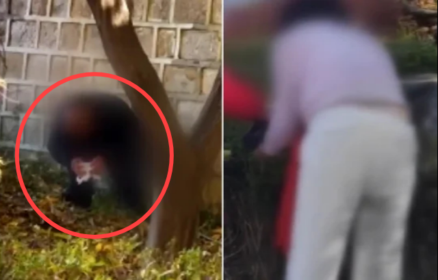 경복궁 돌담에서 용변을 보고 있는 관광객들. JTBC ‘사건반장’ 방송화면 캡처. (기사와 직접 관련 없음)