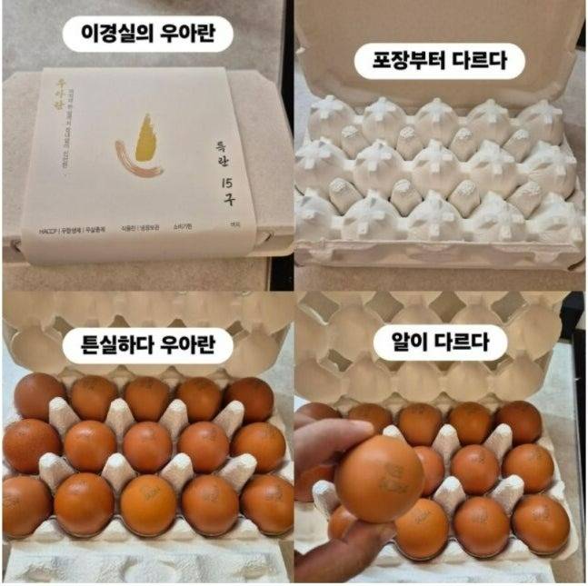 /사진=조혜련 인스타그램