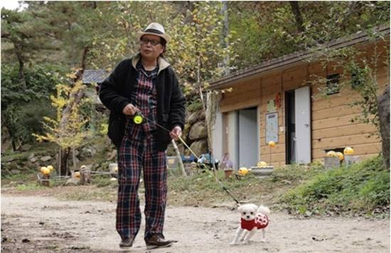 사진= TV조선 '퍼펙트 라이프' 제공