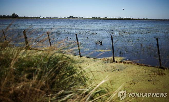 아르헨티나 농경지 침수 (도세데옥투브레[아르헨티나]=로이터 연합뉴스) 17일(현지시간) 아르헨티나 부에노스아이레스주 도세데옥투브레 지역에서 홍수로 농경지가 침수된 상태다.  2025.11.19