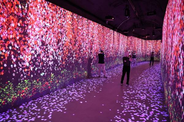 김해낙동강레일파크 와인&디케이브 미디어아트 공간에서 관광객들이 사진을 찍고 있다. / 김해시