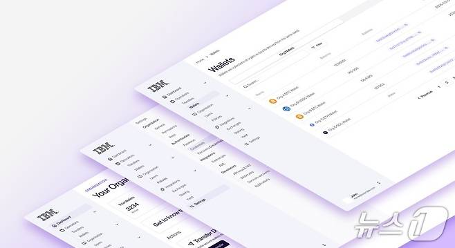[IBM 디지털 에셋 헤이븐(IBM 제공)