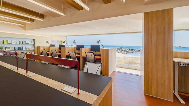 맹그로브 고성 /공식 홈페이지