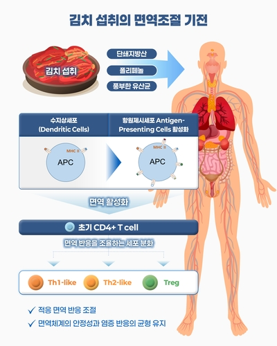 ▲ 세계김치연구소 제공