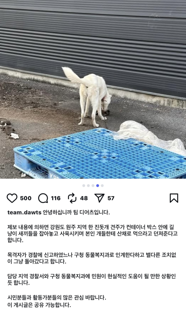 ▲ 동물보호단체 ‘디어츠’에 따르면, 원주 한 사유지 안에 설치된 컨테이너 박스에서 여러 마리의 길고양이가 장기간 가둬져 있는 데다 일부 고양이가 개의 ‘생먹이’로 이용됐다는 제보가 접수됐다.