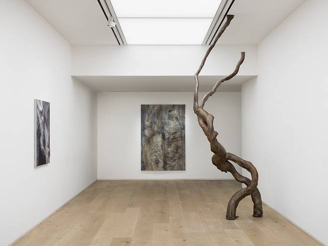 Installation view of  Chung Hee-min's exhibition "Garden of Turmoil" at Thaddaeus Ropac in Seoul (Thaddaeus Ropac)