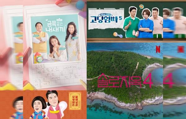 ▲일반인 출연자들이 나오는 주요 프로그램 공식 이미지