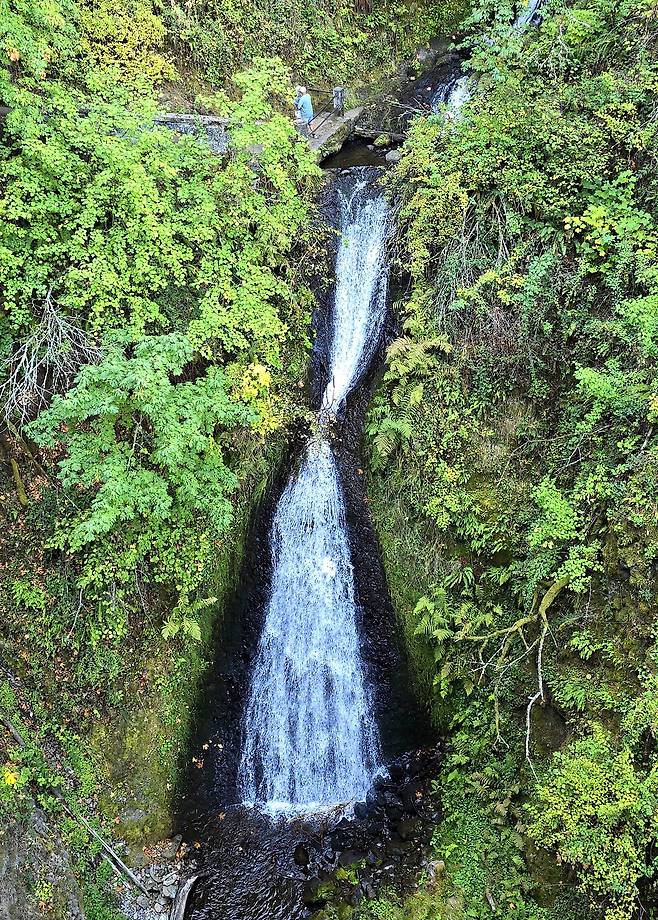 포틀랜드 협곡 브라이덜 베일 폭포