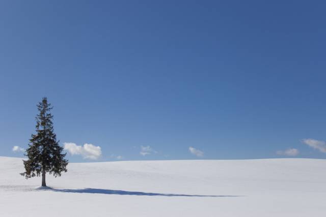 기사 이해를 돕기 위한 사진. 클립아트코리아