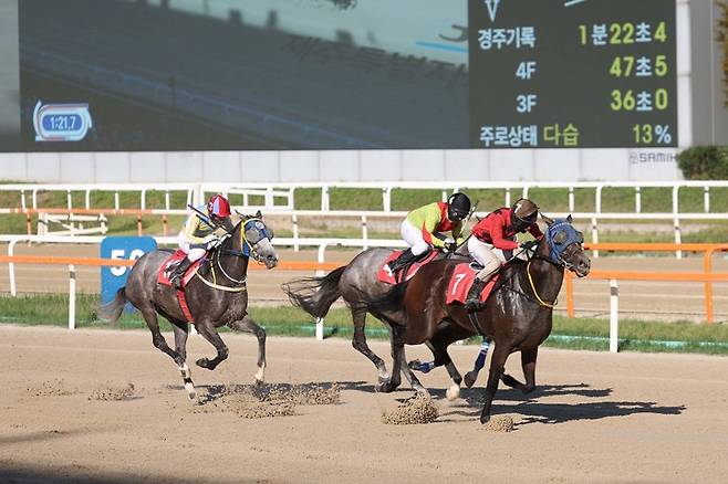 제주특별자치도지사배 우승마 보령라이트퀸과 정도윤 기수.(사진 한국마사회 제공)