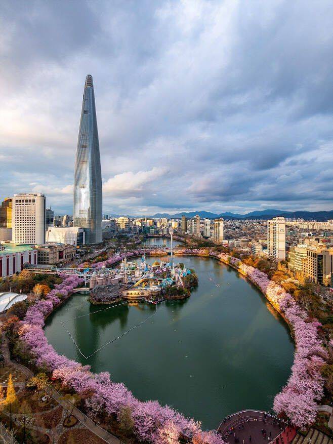 벚꽃이 만개한 서울 잠실 롯데월드타워. 롯데물산