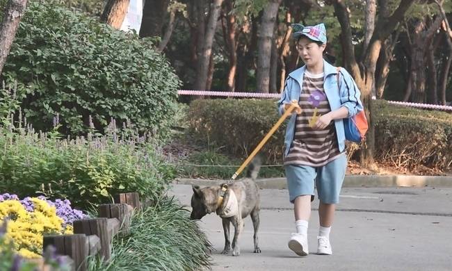 MBC ‘나 혼자 산다’ 제공