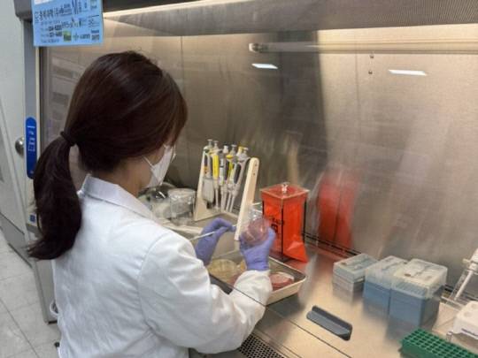 CRE 감염증 검사. 충청북도 보건환경연구원 제공