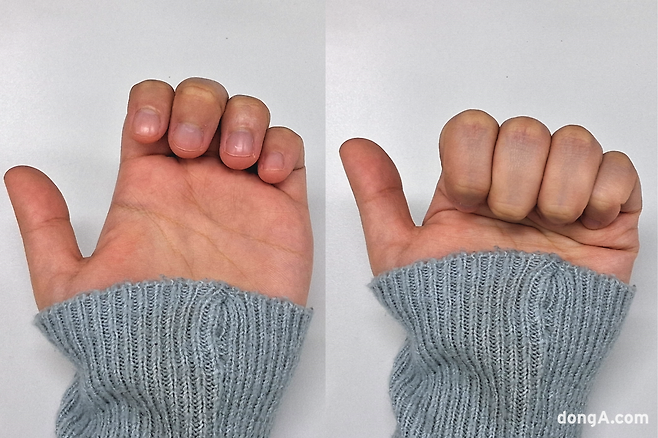 사진=최강주 기자, gamja822@donga.com