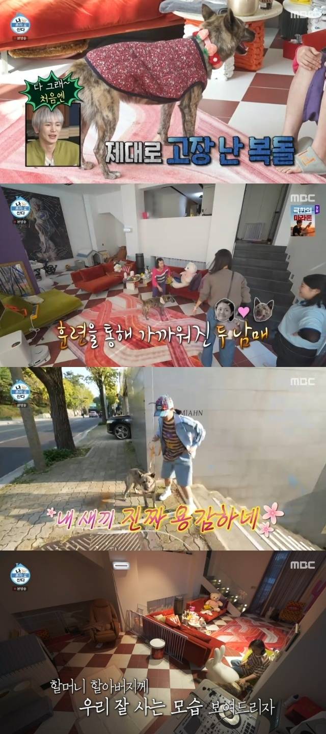 MBC ‘나 혼자 산다’ 캡처