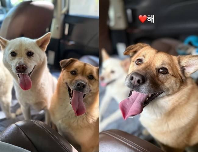 사진=이효리 소셜미디어