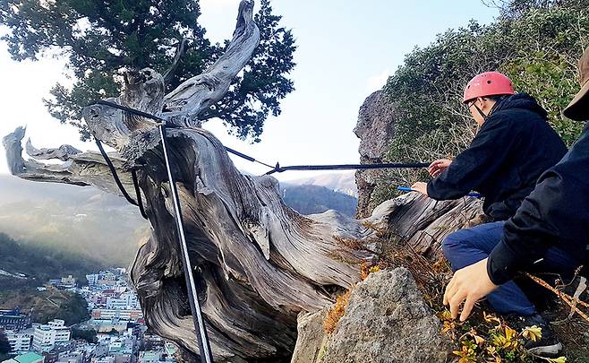 지난 2019년 전문조사단과 울릉산악회원들이 현장 조사에 나섰다. /울릉산악회 제공