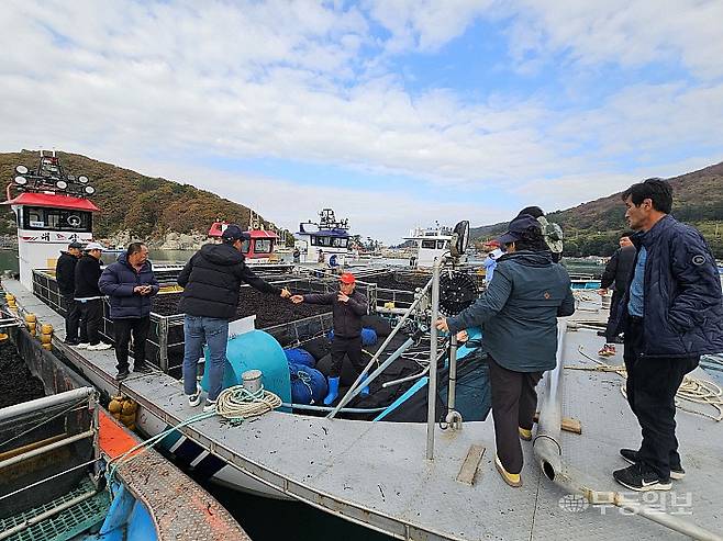 오전 11시 호루라기 소리와 함께 경매가 시작되자 응찰자들이 선박 위에 올라 가격을 적는 쪽지를 건네받고 있다.최류빈기자 rubi@mdilbo.com