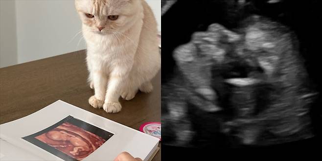 사진=김도균 SNS