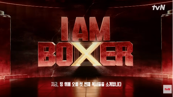K-복싱의 부활을 위해 마동석이 직접 설계한 초대형 블록버스터 복싱 서바이벌. (사진=tvN Joy 유튜브 캡처)