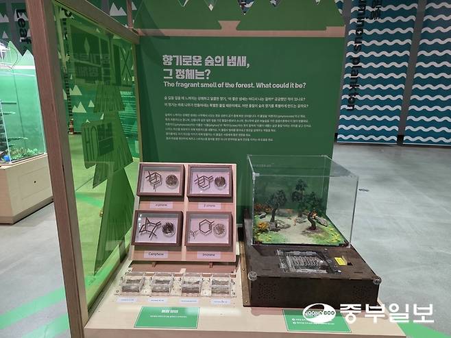 '과학마블 탐구여행' 전시 모습. 이준도기자