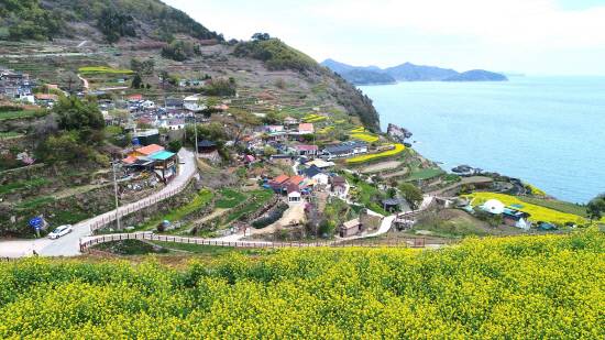 남해 가천다랭이마을(봄 유채꽃) 전경.