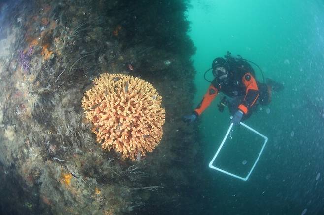 오는 25일 경남 사천시 실안동에 국립공원 해양 전담 기관인 ‘국립공원 해양생태보전원’이 문을 연다. 국립공원공단 제공