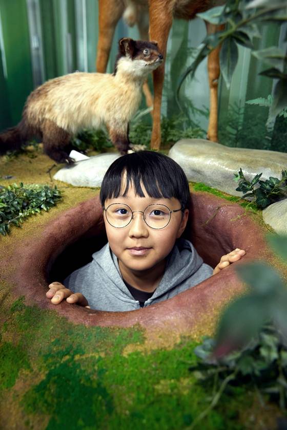 박건우 학생기자가 여우의 은신처인 여우굴에 대해 살펴봤다.