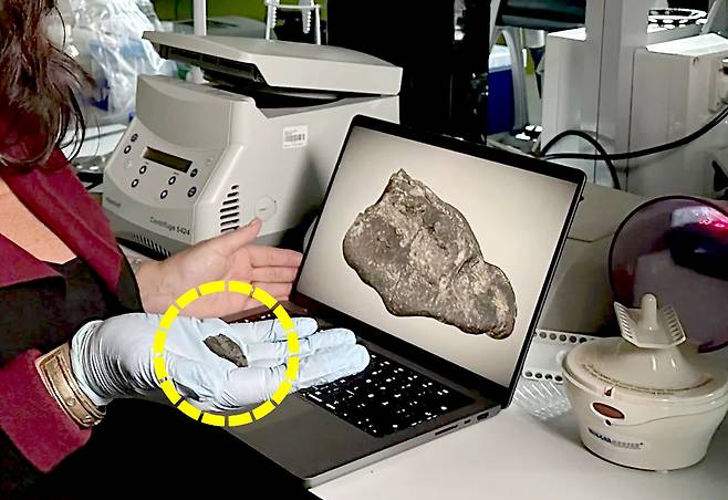 역사학자 베타니 휴즈는 “‘껌’ 조각 발견이 매우 놀랍다고” 말했다. 사진 영국 채널4 캡처