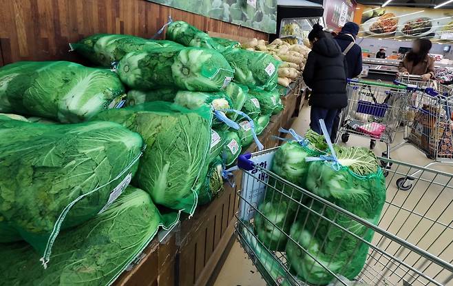 서울의 한 대형마트에서 시민들이 배추와 무를 카트에 담고 있다. 연합뉴스