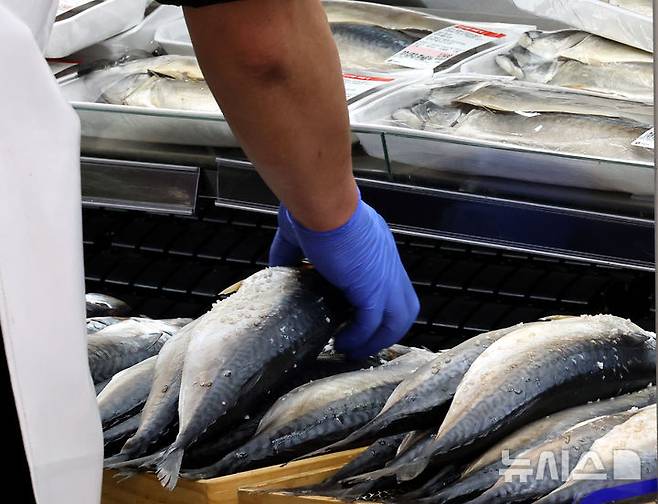 [서울=뉴시스] 박주성 기자 = 24일 식약처에 따르면 히스타민은 두드러기, 가려움 식품 단백질 알레르기와 비슷한 증상을 나타내거나 부패한 어류 등의 섭취로 인한 고등어 중독증(scombrotoxicosis)를 유발한다. 지난해 3월 24일 오전 서울의 한 대형마트에서 직원이 고등어를 진열하고 있다. (사진은 기사와 관련이 없습니다.) 2025.03.24. park7691@newsis.com