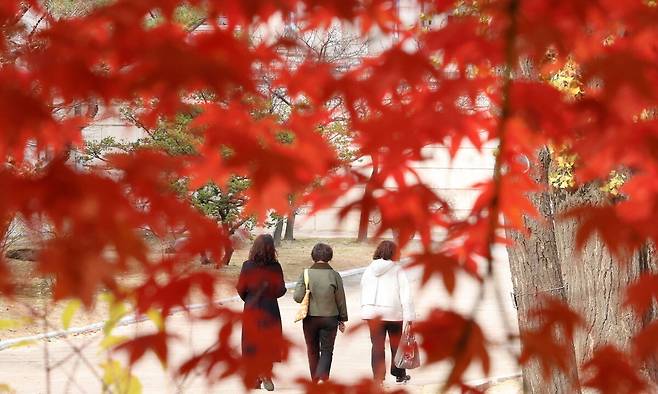 21일 오후 서울 중구 덕수궁에서 관람객들이 산책을 하고 있다. 뉴시스