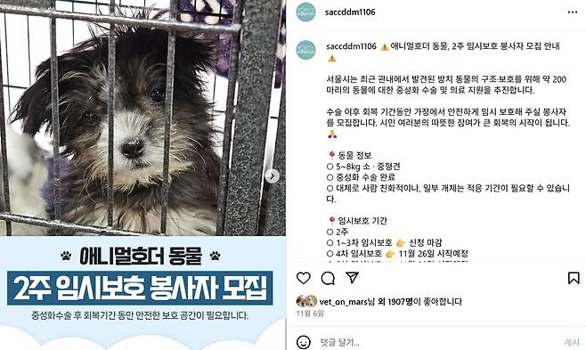 서울동물복지지원센터에서 공식 SNS를 통해 올린 애니멀 호딩 구조견 임시 보호 모집글이 시민들에게 큰 호응을 얻고 있다(SNS 갈무리). ⓒ 뉴스1