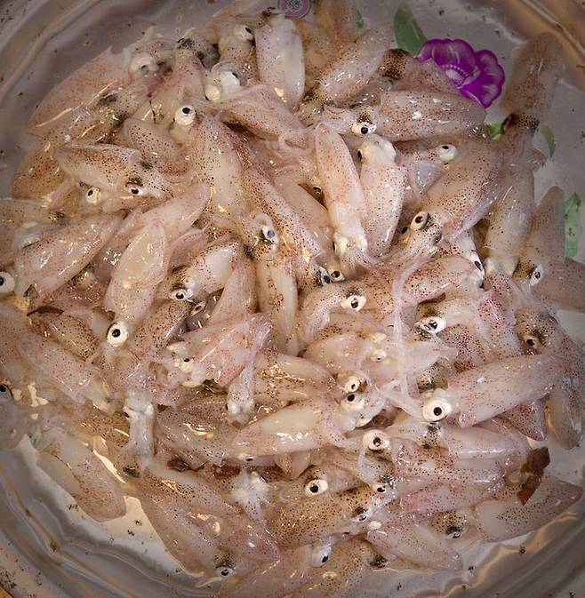 ⓒ게티이미지뱅크