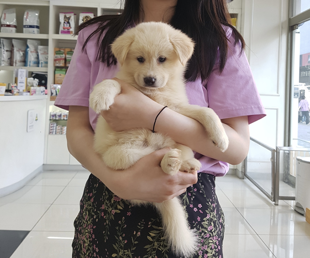 쭈니와의 첫만남. 보호자 제공