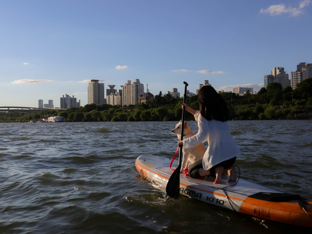 패들보트 타는 진도믹스 쫌 멋진듯 보호자 제공