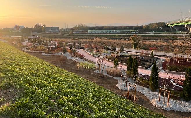 조성을 완료한 불로천 둔치에 생활밀착형 숲(실외정원) 전경. 대구 동구 제공