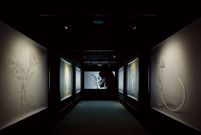 2025 까르뜨 블랑슈 하이 주얼리 컬렉션 ‘임퍼머넌스’ 전시 공간.