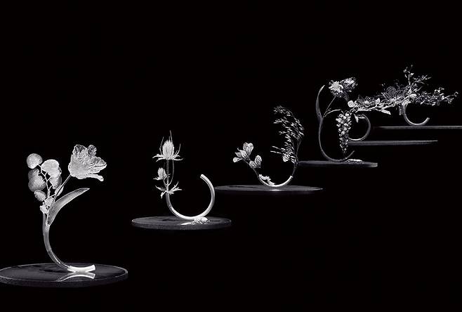 왼쪽부터 ‘임퍼머넌스’ 컬렉션 ‘Composition N°6’ 튤립과 유칼립투스. ‘Composition N°5’ 엉겅퀴와 장수풍뎅이. ‘Composition N°4’ 시클라멘과 귀리, 애벌레, 나비. ‘Composition N°3’ 아이리스, 위스테리아, 사슴벌레. ‘Composition N°2’ 목련과 스틱버그, ‘Composition N°1’ 양귀비와 스위트피, 나비.