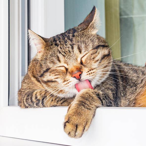 게티이미지뱅크