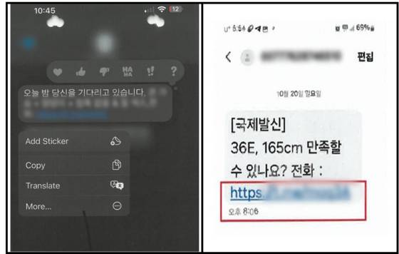캄보디아 피싱 조직이 피해자들을 유인하기 위해 보낸 메시지. [사진 대구경찰청]