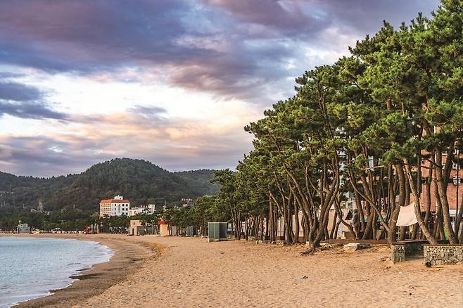 진하해수욕장 일대 풍경(사진=이효태)