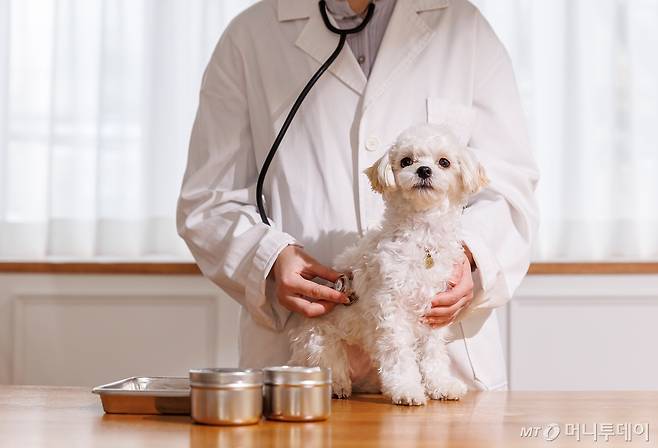 /사진 출처=클립아트