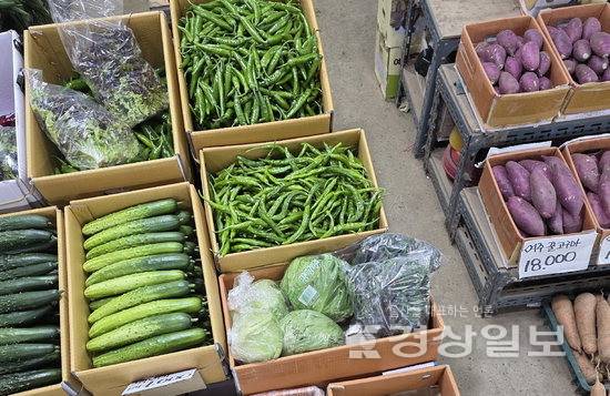 ▲ 외식비 상승으로 패스트푸드를 찾는 직장인이 늘고 있는 가운데 이상기후로 인한 양상추 공급에 차질을 겪고 있다. 사진은 울산농수산물도매시장 양상추.