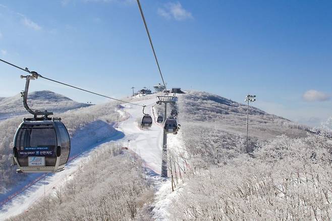 하이원리조트에서 가장 높은 지점인 하이원탑(1340m)까지 운행되는 '하이원 운탄고도 케이블카'