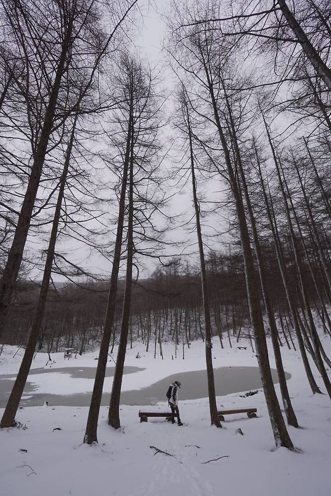 하늘길을 걷다보면 만나게 되는 도롱이연못