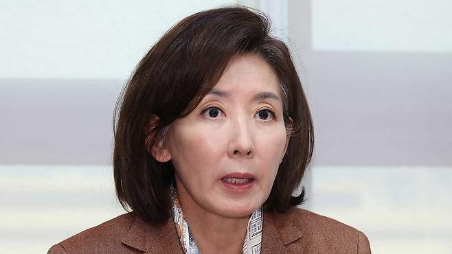국민의힘 나경원 의원 [자료사진]