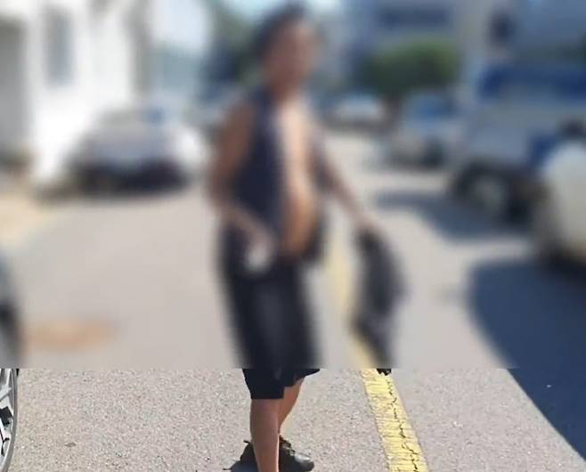 흉기를 들고 경찰을 위협하는 남성. 충남경찰청 제공