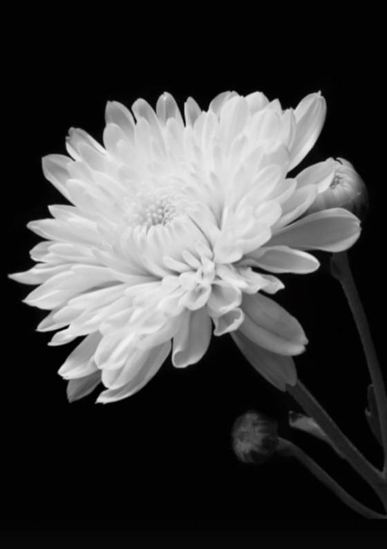 /사진=서예지 SNS